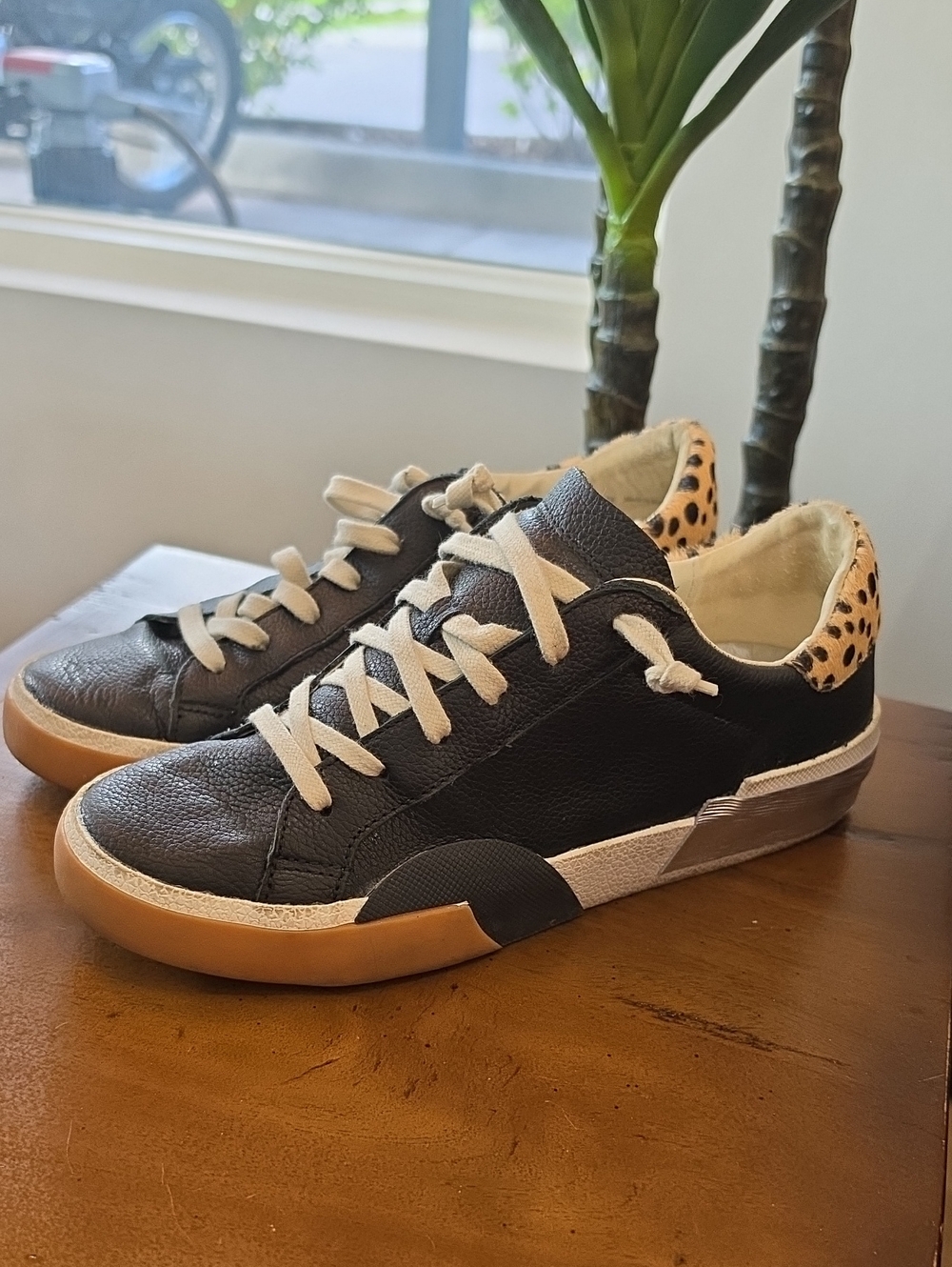 Dolce Vita Notice Sneaker Leopard Print Black & Brown